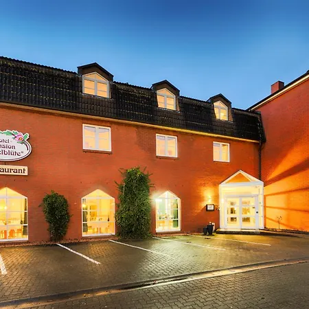 Apfelbluete Hotel Stralsund