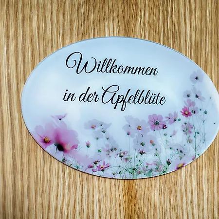 Apfelblüte Wendorf (Mecklenburg-Vorpommern)